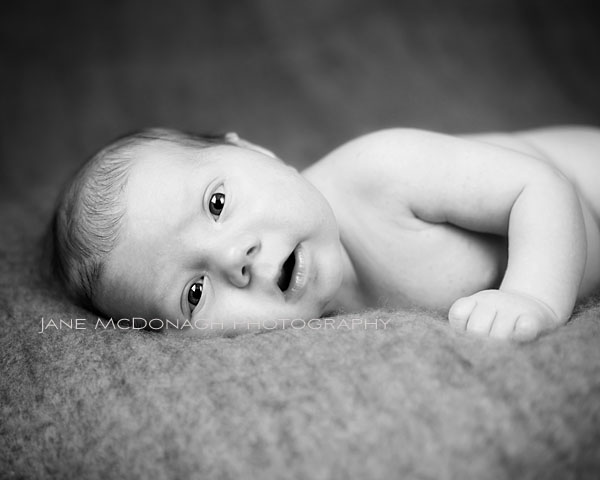 Baby portrait photographer